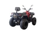 LINHAI M210 EFi 2x4 - obrazek 4
