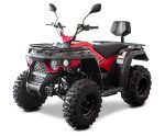 LINHAI M210 EFi 2x4 - obrazek 5